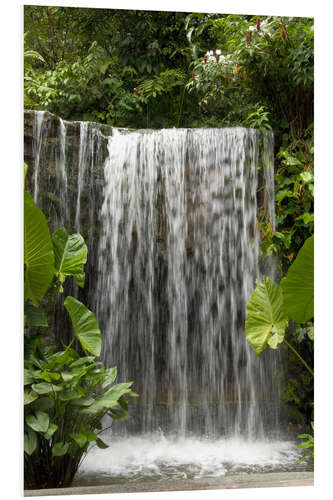 Foam board print Waterfall in the orchid garden