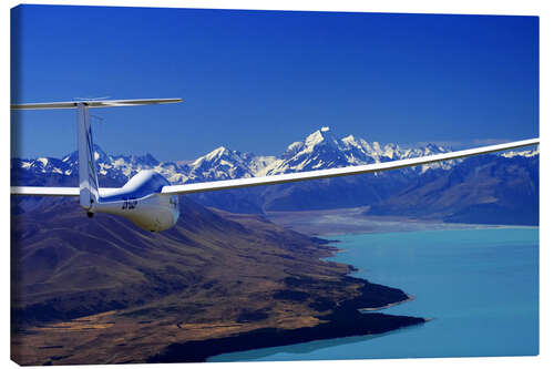 Canvas print Glider over a lake