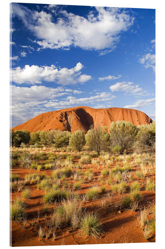 Acrylic print Uluru in the outback