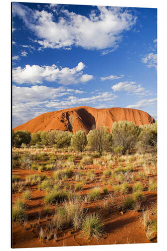 Aluminiumtavla Uluru in the outback