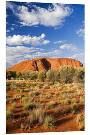 Foam board print Uluru in the outback