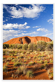 Print  Uluru in the outback - David Wall