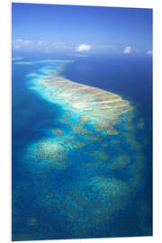 Bilde på skumplate Great Barrier Reef Marine Park