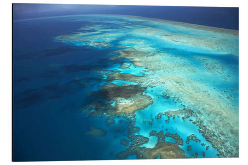 Aluminiumsbilde Great Barrier Reef Marine Park