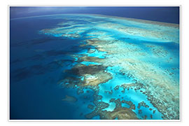 Print  Great Barrier Reef Marine Park - David Wall