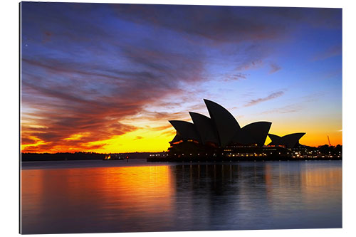 Quadro em plexi-alumínio Sydney Opera House à luz da noite