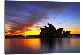 Quadro em plexi-alumínio Sydney Opera House à luz da noite