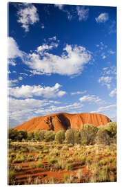 Acrylic print Ayers Rock in the Outback