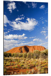 Aluminiumtavla Ayers Rock in the Outback