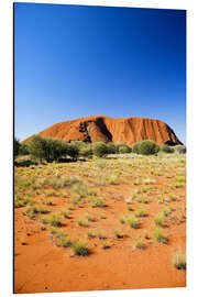 Aluminiumtavla Ayers Rock