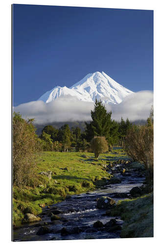 Galleriprint Nature at Mount Taranaki