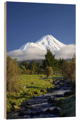 Trebilde Nature at Mount Taranaki