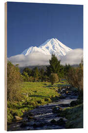 Wood print Nature at Mount Taranaki