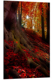 Magnettafel Herbstlicht