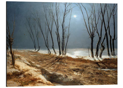 Aluminium print Landscape in Winter at Moonlight
