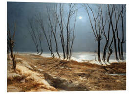 Tableau en PVC Paysage en hiver au clair de lune