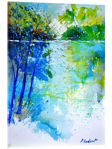 Acrylic print pondscape