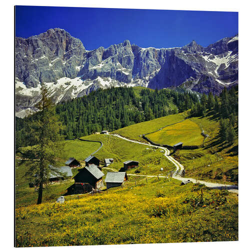 Tableau en aluminium Alpage dans le massif du Dachstein