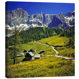 Tableau sur toile  Alpage dans le massif du Dachstein - Ric Ergenbright