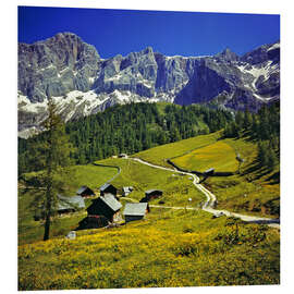 Print på skumplade Alm in the Dachstein Alps