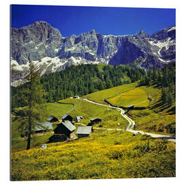 Gallery Print Alm in den Dachstein Alpen