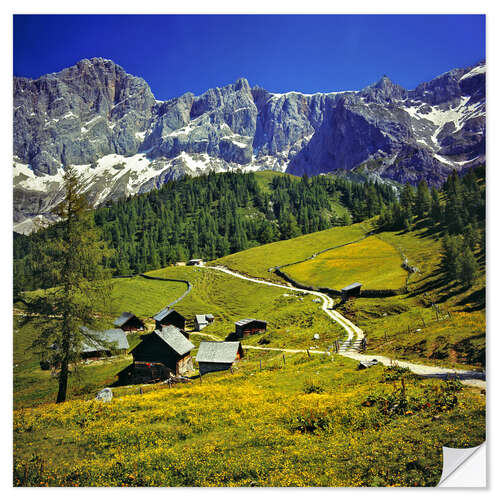 Muursticker Alm in the Dachstein Alps