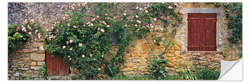 Vinilo para la pared Rosas que suben en la pared de piedra vieja