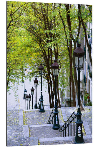 Alumiinitaulu Stairs to the Place du Sacré-Coeur