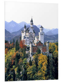 Foam board print Neuschwanstein Castle