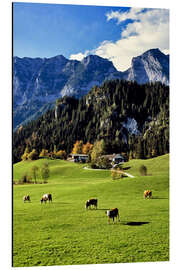 Magnettafel Alpen und Weidekühe