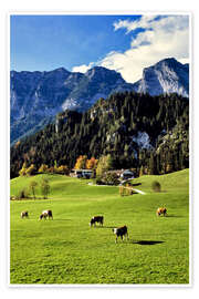Poster  Pâturages avec vue sur les Alpes et sur une forêt - Ric Ergenbright