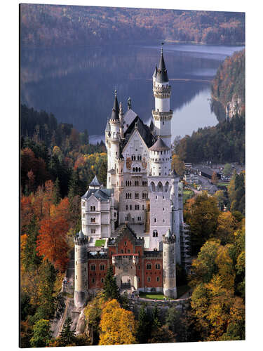 Stampa su alluminio Castello di Neuschwanstein