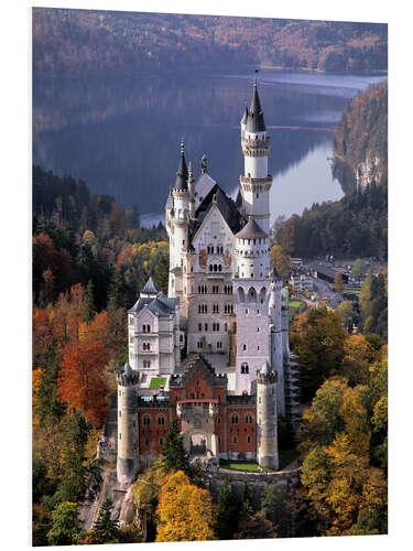 Foam board print Neuschwanstein and Alpsee in Bavaria, Germany