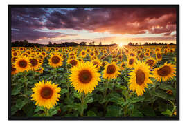 Gerahmter Kunstdruck Sunshine