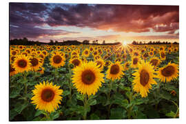 Magnettafel Sunshine