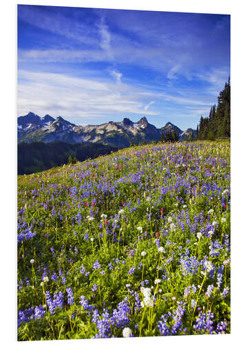 PVC-taulu Flower meadow in front of Mount Rainier