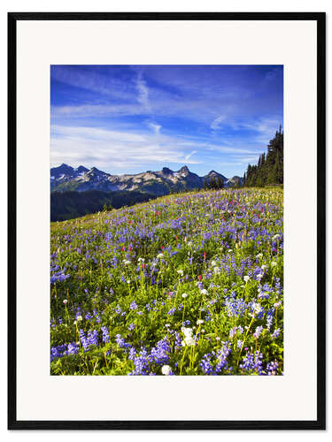 Impression artistique encadrée Prairie de fleurs devant le mont Rainier