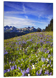 Galleritryck Flower meadow in front of Mount Rainier