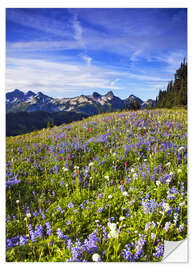 Självhäftande poster Flower meadow in front of Mount Rainier