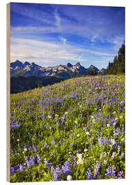 Holzbild Blumenwiese am Mount Rainier