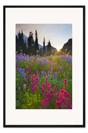 Gerahmter Kunstdruck Blumenwiese bei Sonnenaufgang