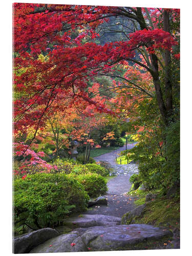 Akrylbilde Path at Japanese Garden in Autumn