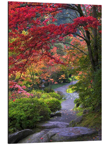 Aluminium print Path in a Japanese garden