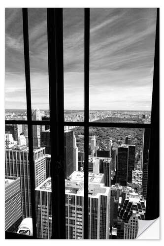 Sisustustarra Window view of Central Park