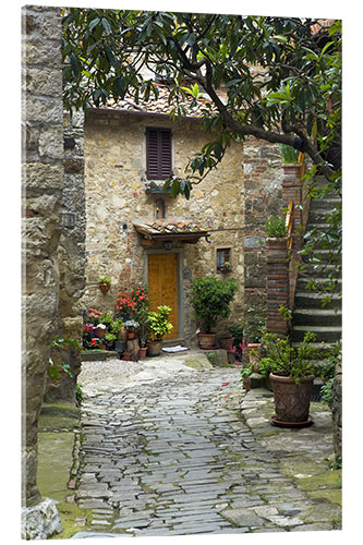 Akryylilasitaulu Idyllic path in Montefiorale