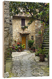 Puutaulu Idyllic path in Montefiorale