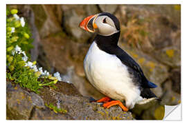 Wall sticker Puffin on a stone