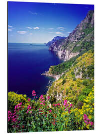 Aluminium print Cliffs with wildflowers