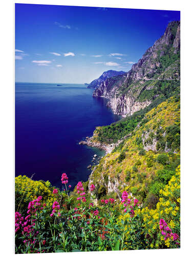 Print på skumplade Cliffs with wildflowers