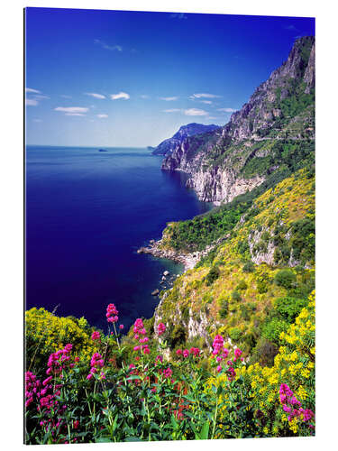 Gallery print Cliffs with wildflowers